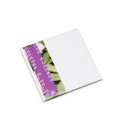 USB Flowers (CDr)