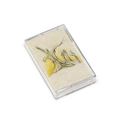 The High Desert Sessions (Tape)