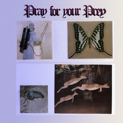 Pray For Your Prey (LP)