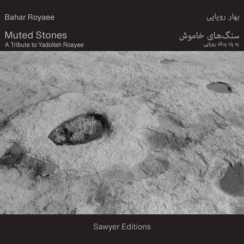 Muted Stones: A Tribute to Yadollah Roayee