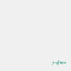 Texas Music (LP)