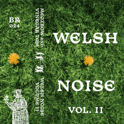 Welsh Noise Volume II