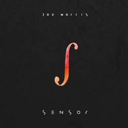 Sensor
