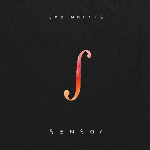 Sensor