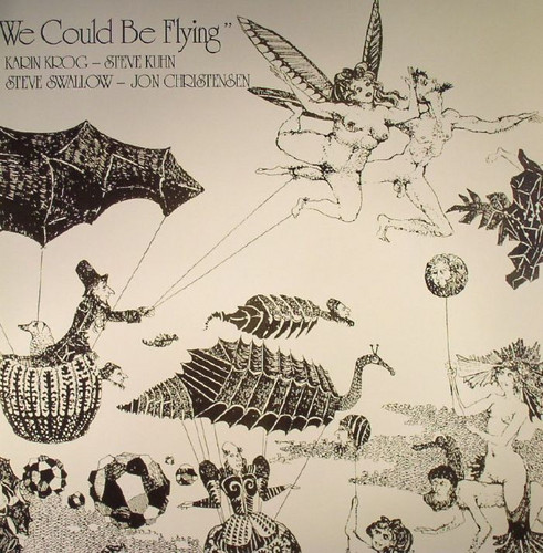 We Could Be Flying