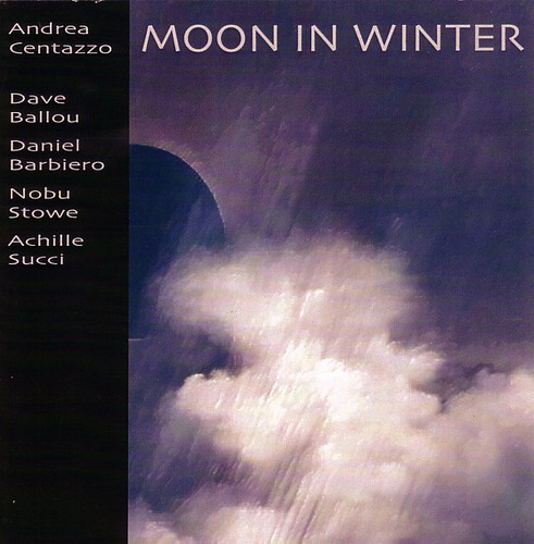 Moon In Winter