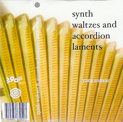 Synth Waltzes & Accordion Laments (Tape)