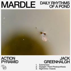 Mardle: Daily Rhythms of a Pond 