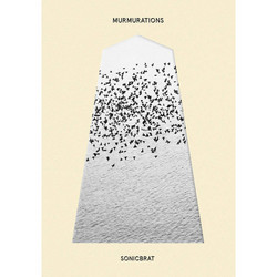Murmurations