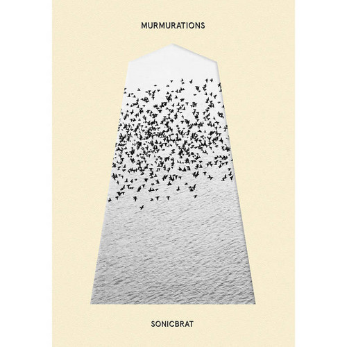 Murmurations