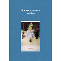 Stranger To My Room