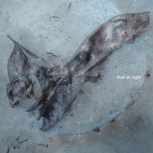 Dust At Night