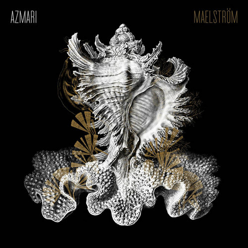 Maelstr​ö​m