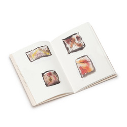 Songs Without Words And Music (Book)