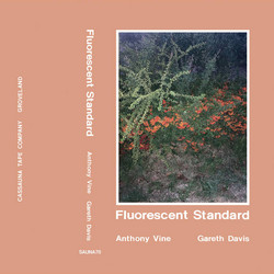 Flourescent Standard 