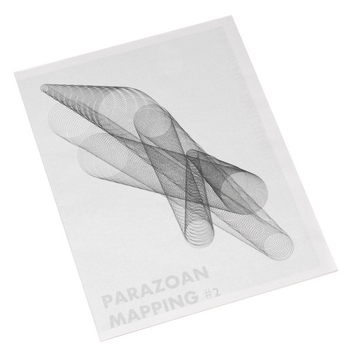 Parazoan Mapping #2 (Magazine + Digital Download)