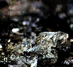 Strata