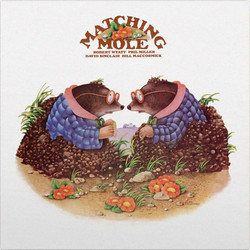 Matching Mole