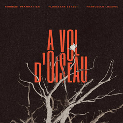 A Vol D'Oiseau