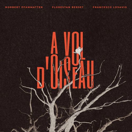 A Vol D'Oiseau