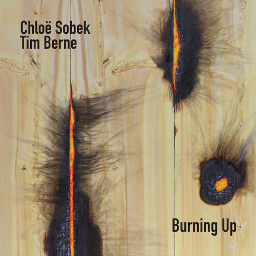 Burning Up 