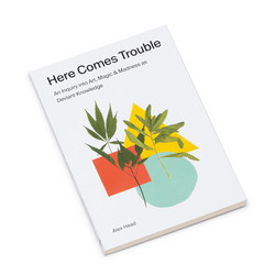 Here Comes Trouble - An Inquiry Into Art, Magic & Madness As Deviant Knowledge