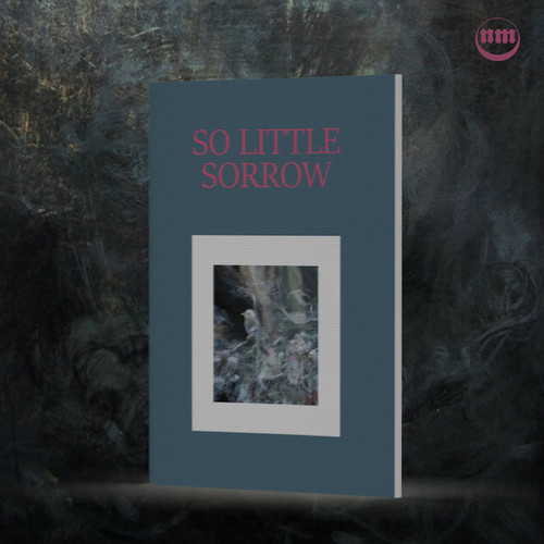 So Little Sorrow