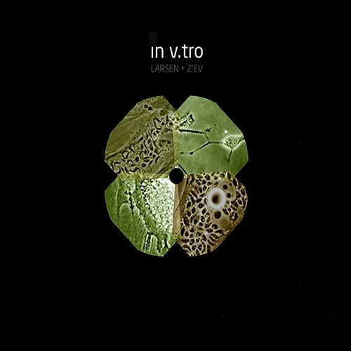 In V. Tro