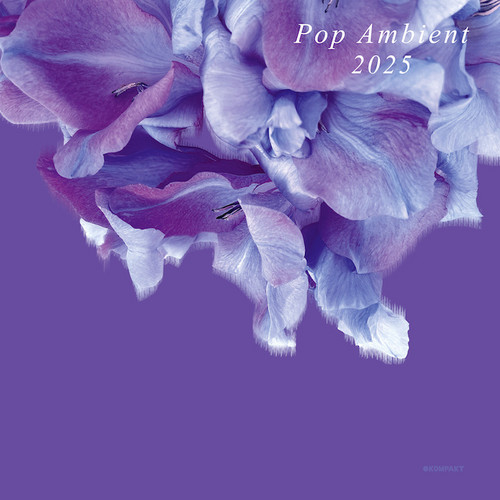 Pop Ambient 2025