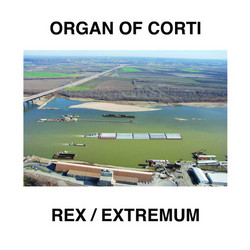 Rex / Extremum