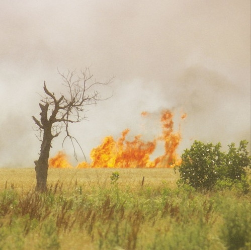 Incendies