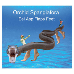 Eel Asp Flaps Feet