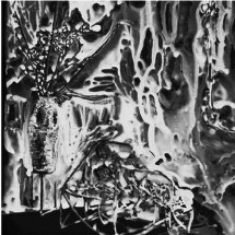 Evocation