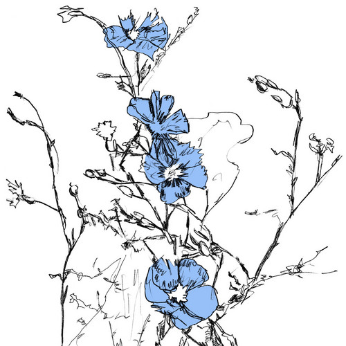 Music to Watch Seeds Grow By 003: Graintable (Blue Flax)