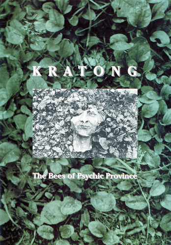 The Bees Of Psychic Province