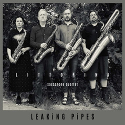 Leaking Pipes