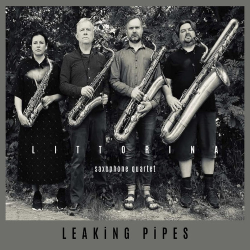 Leaking Pipes