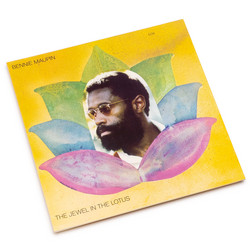 The Jewel In The Lotus