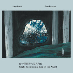  Night Seen from a Gap in the Night 