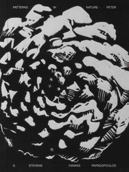 Patterns in Nature – Peter S. Stevens (Book)
