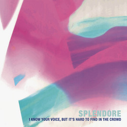 I Know Your Voice, but It’s Hard to Find in the Crowd