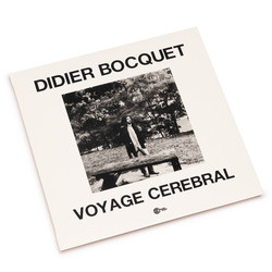 Voyage Cerebral