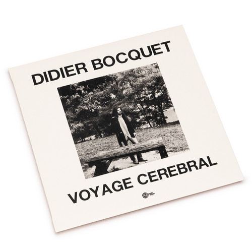 Voyage Cerebral