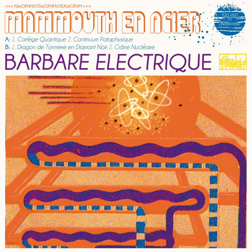 Barbare Electrique