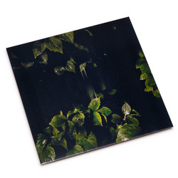Music For Empty Flats (LP)