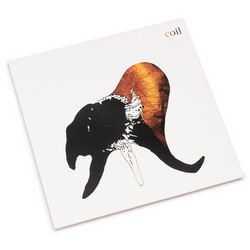 Black Antlers