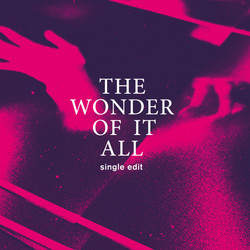 The Wonder Of It All 