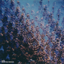 Selected Remixes 