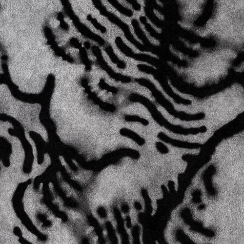  Sans motif apparent 