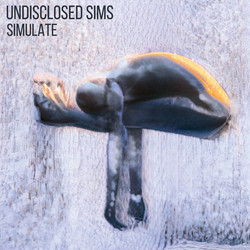 Simulate